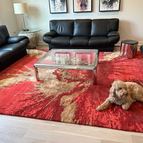 The Purrfect Pair: Pets and Rugs