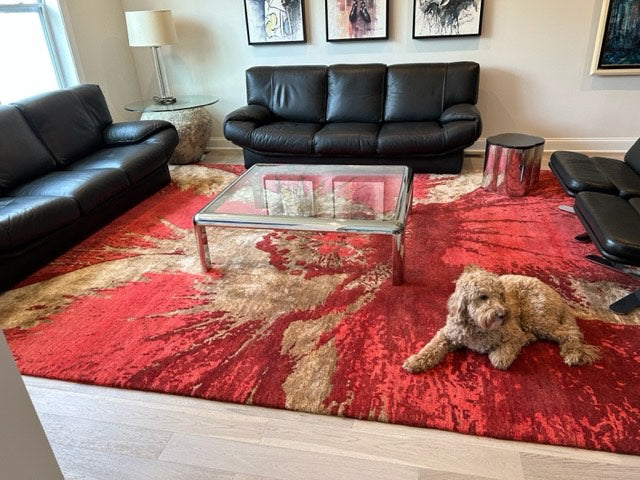 The Purrfect Pair: Pets and Rugs