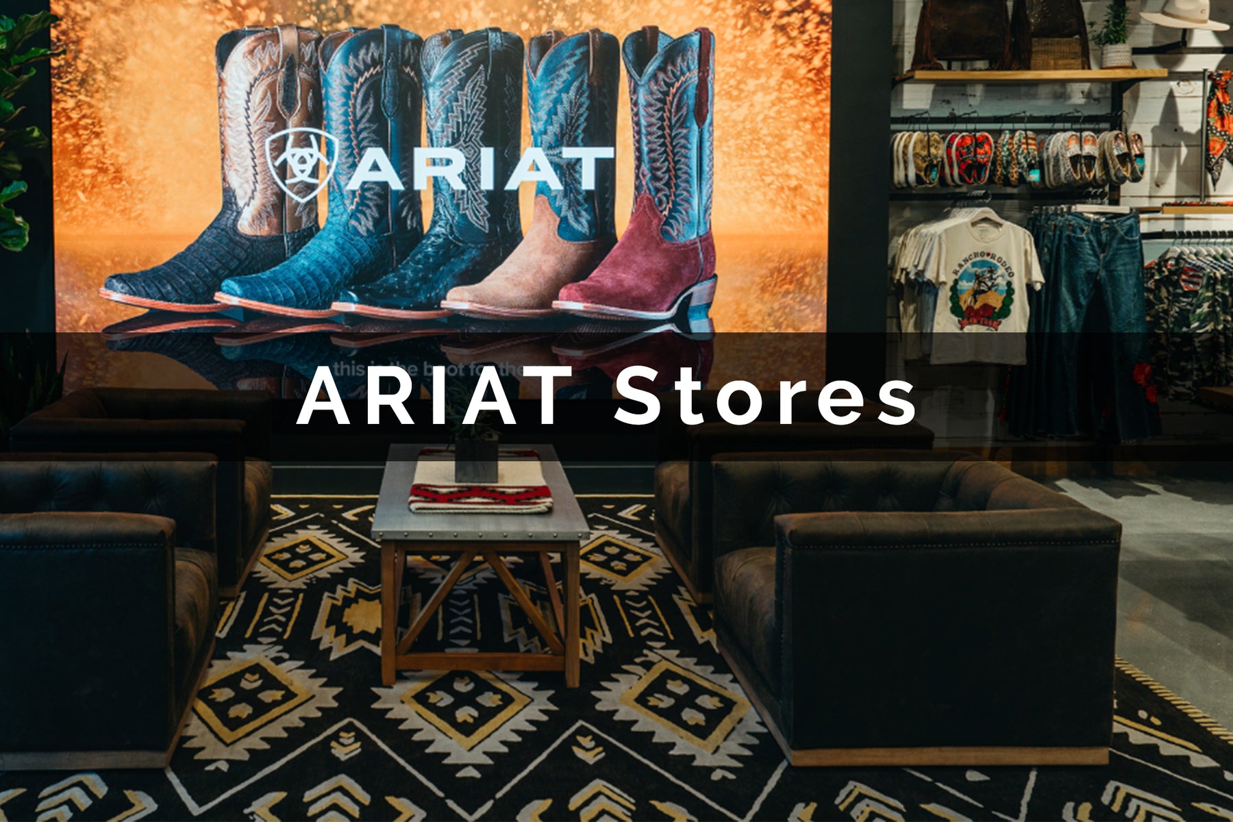 Ariat Rug Project Showcase: Ariat — Modern Designer Rugs