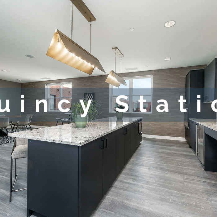 Project Showcase: Quincy Station Westmont Illinois